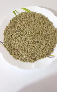عدس درشت و تمیز و زودپز
