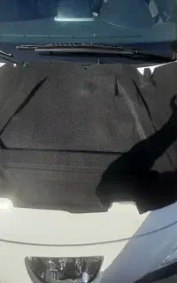 نمد کاپوت 206 نو