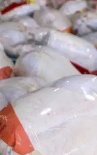 مرغ تازه گرم بسته بندی شده