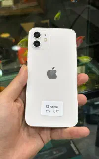 12normal