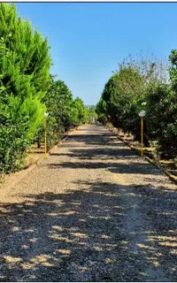 نیاز به سرایدار