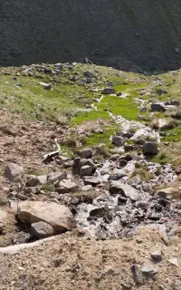 حفاری افقی ،راسول زنی