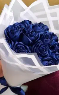 آبی رز