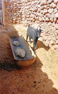 سلام یک عدد چبش ویکی تقلی