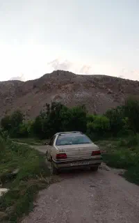 پژو ۴۰۵مدل ۸۳