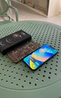iphone 12 promax 256
