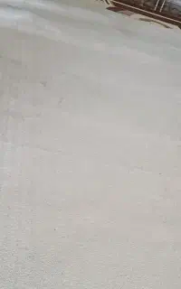 دو عدد پالاز موکت  ۴×۵