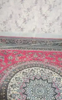 لوله