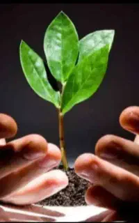 ترک اعتیاد بدون درد و خماری ـ ویژه‌ی شاغلین
