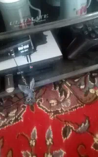 پلی استیشن 2 فلش خور
