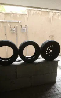رینگ ولاستیک پژو