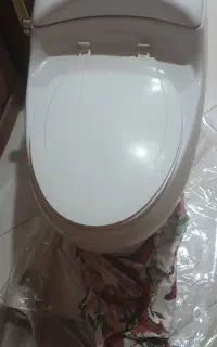 توالت فرنگی