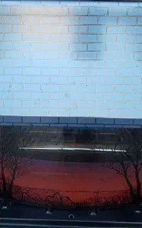 بخاری