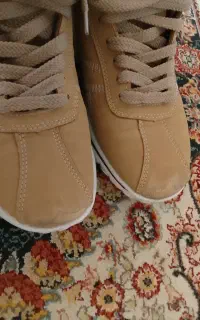 کتانی اسکیچرز اصل
