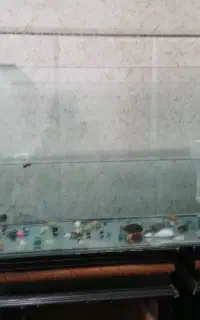 آکواریوم