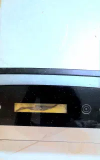 هود