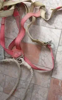 کمربند ایمنی
