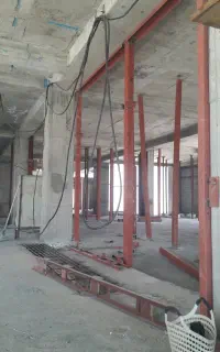 کارگر و دیوارچین