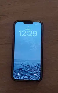 Iphone 13promax