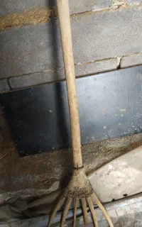 گمشده
