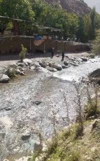 تورفشم ییلاق زاگون ولالون فقط۵۵۰تومن همه روزه