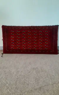 پشتی