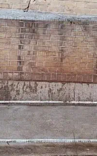 قفس بزرگ مرغ و خروس و کبوتر و...