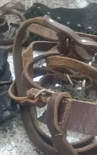 کله گیر اسب