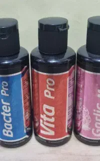 آکواریوم باکتری و عصاره سیر