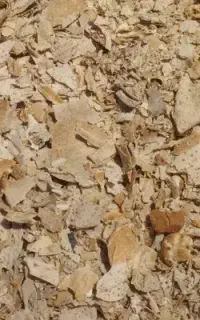نان خشک