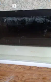 اکواریوم