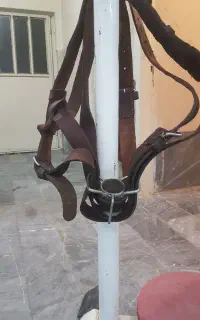کمربندهیکلی علم