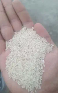 لاشه هاشمی تازه