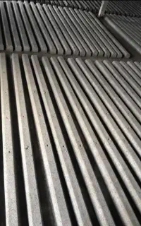 پایه و پاشنه