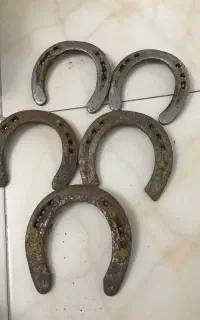 نعل اسب کار کرده/اصل