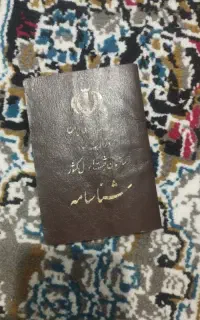 شناسنامه گم شده