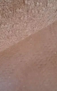 ۲عدد موکت در حد نو تقریبا۹متری