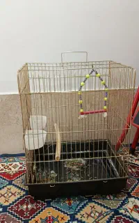 قفس پرنده مرغ مینا عروس هلندی وغیره