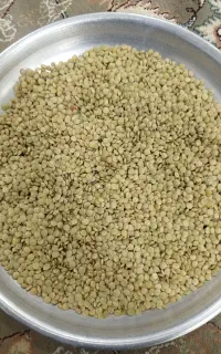 عدس امسال