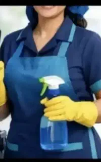 نظافت منزل