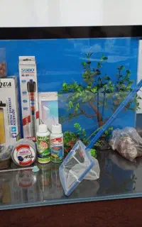 آکواریوم شرکتی شیشه خم با تمامی وسایل