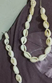 ست صدفی