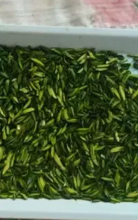 خلال پسته سوپر سبز امساله