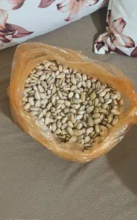پسته خراسان درجه یک
