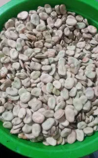 باقله خشک