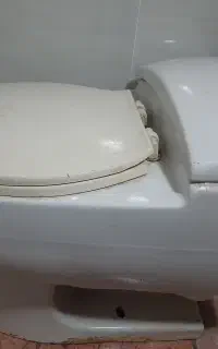 توالت فرنگی