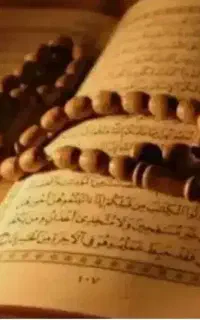 سید۰۰فوق العاده۰۰خوب