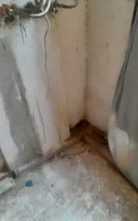 بلیط‌استخرمروارید