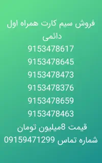 09153477694