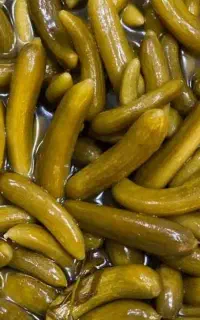 خیارشور
